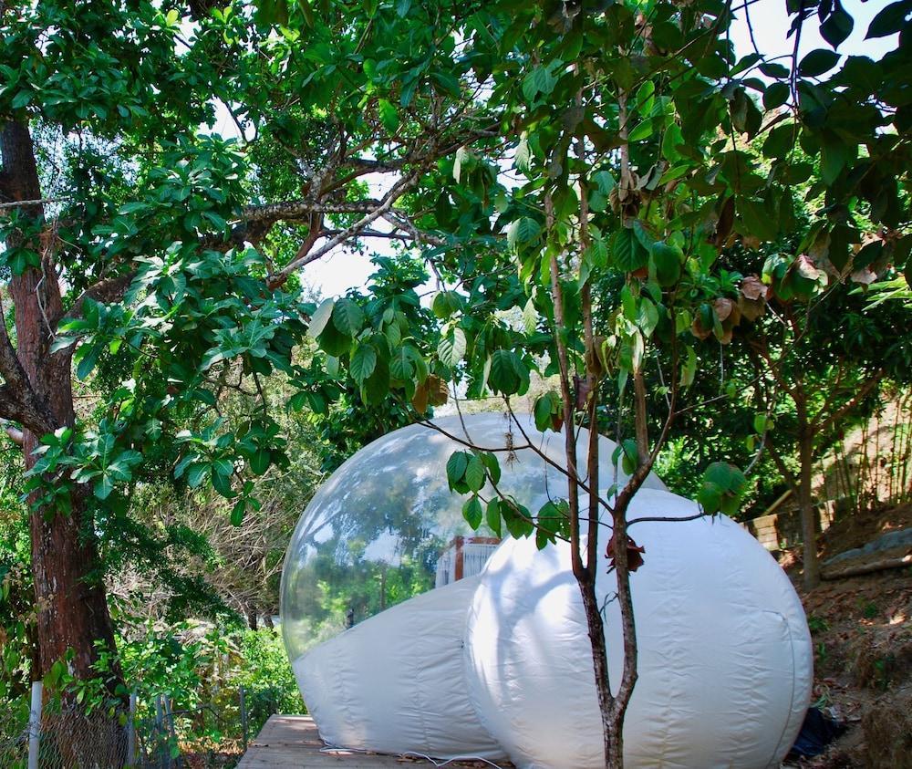Sweet Harmony Hotel Boutique by Xarm Hotels Minca Extérieur photo